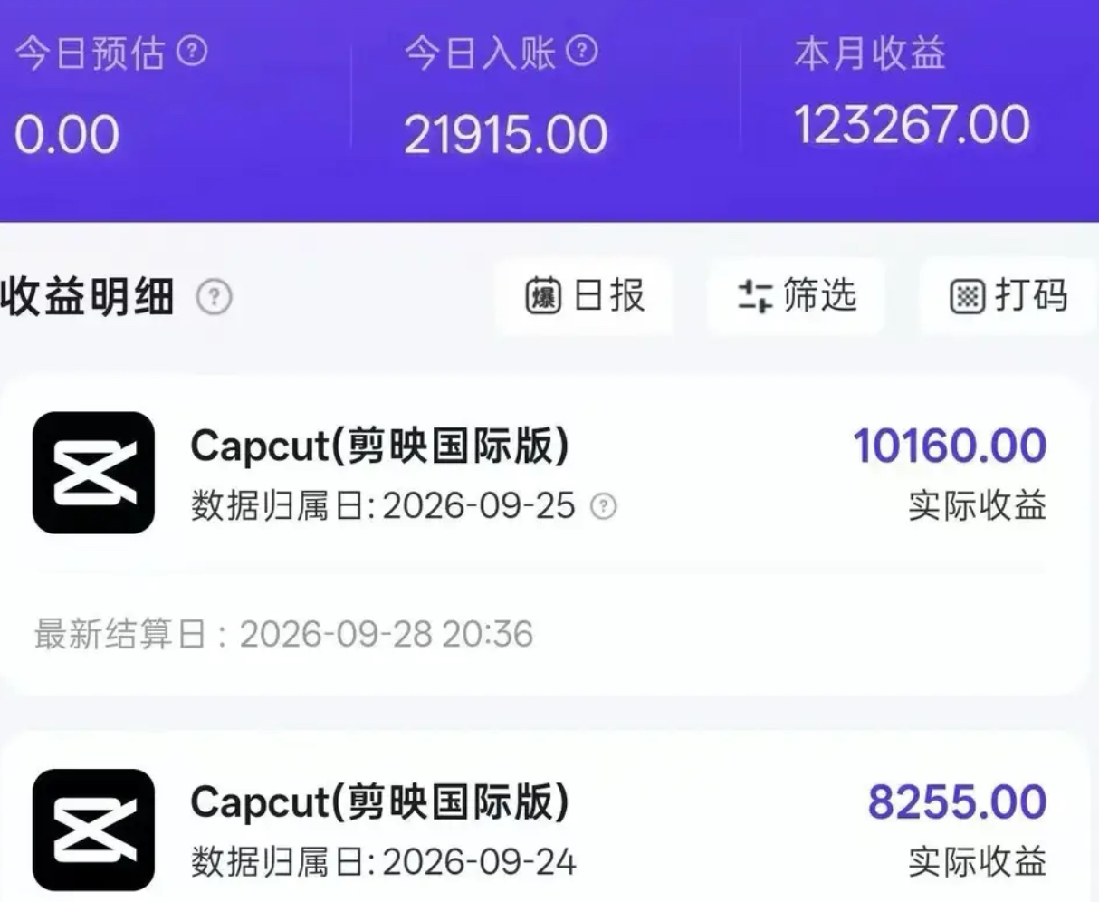 Tc联盟·TikTok海外拉新项目，一个天挣2000-5000【欢喜AI学院收费3980】